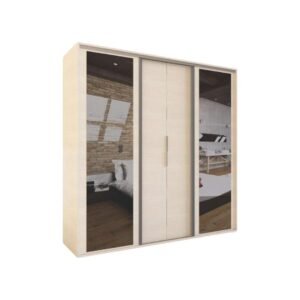 Placard con 2 puertas corredizas y 2 paneles con espejo