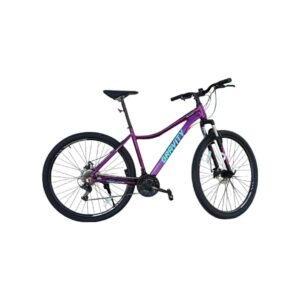 Bicicleta Gravity R29 Dabomb