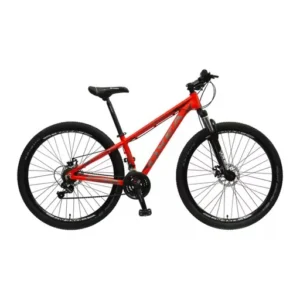 Bicicleta Oxea Riddich R29