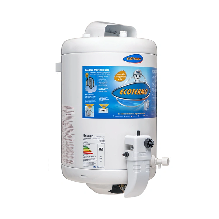 Termotanque a gas Ecotermo alta recuperación 53Lts superior GN/GE - Imagen 2