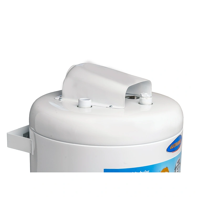Termotanque a gas Ecotermo alta recuperación 53Lts superior GN/GE - Imagen 4